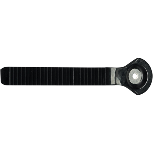 Daisy on the Ohoopee